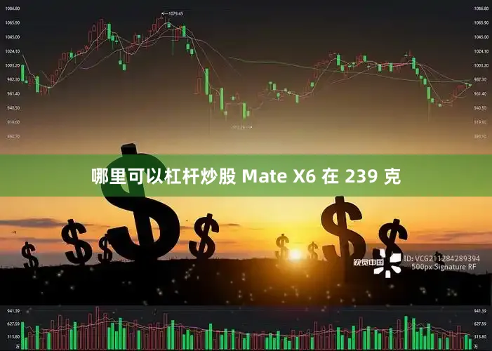 哪里可以杠杆炒股 Mate X6 在 239 克