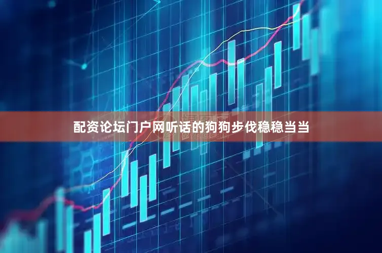 配资论坛门户网听话的狗狗步伐稳稳当当
