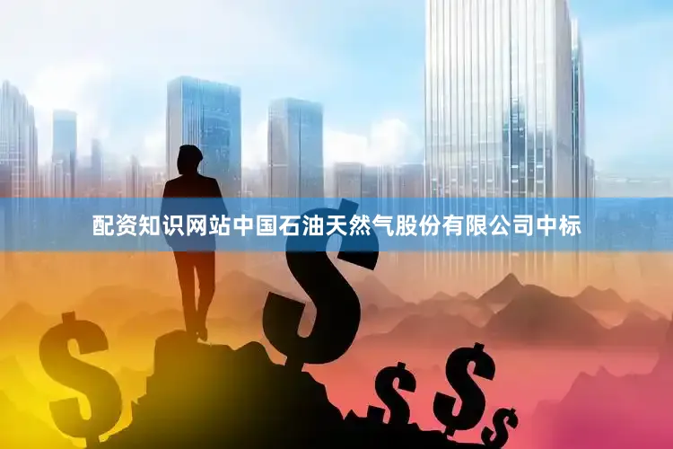 配资知识网站中国石油天然气股份有限公司中标